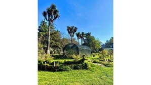 Una estructura tipo invernadero en un jardín exuberante con palmeras y un cielo azul despejado.