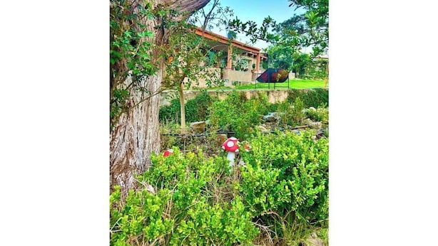 Un jardín con un árbol grande, un edificio de techo rojo y decoraciones de hongos rojos.