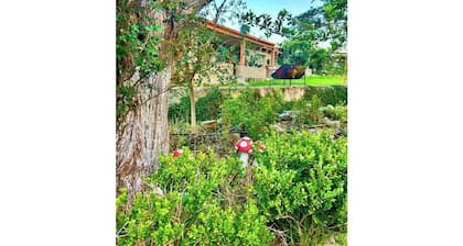 Camping area of Hotel Las Palmas