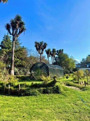 Une serre au milieu d’un jardin luxuriant, avec des palmiers et un ciel d’un bleu éclatant.