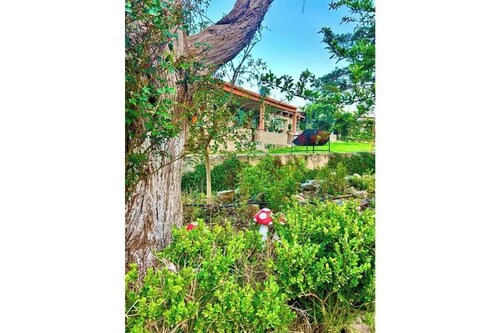 Bougainvilleas by GEstores - Nature and Comfort