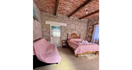 Bougainvilleas by GEstores - Nature and Comfort