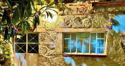 Bougainvilleas by GEstores - Nature and Comfort