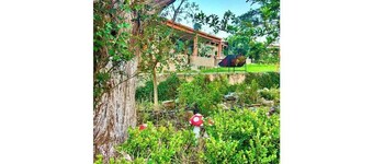 Getaway with Fireplace Palmas By GEstores