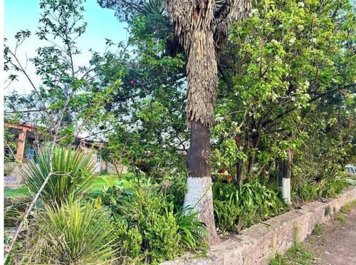 Getaway with Fireplace Palmas By GEstores