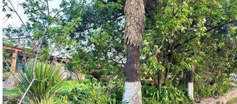 Getaway with Fireplace Palmas By GEstores