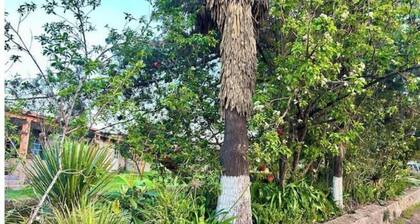 Getaway with Fireplace Palmas By GEstores