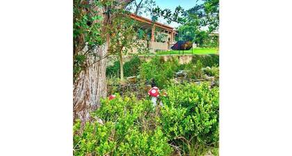 Patos Room by GEstores