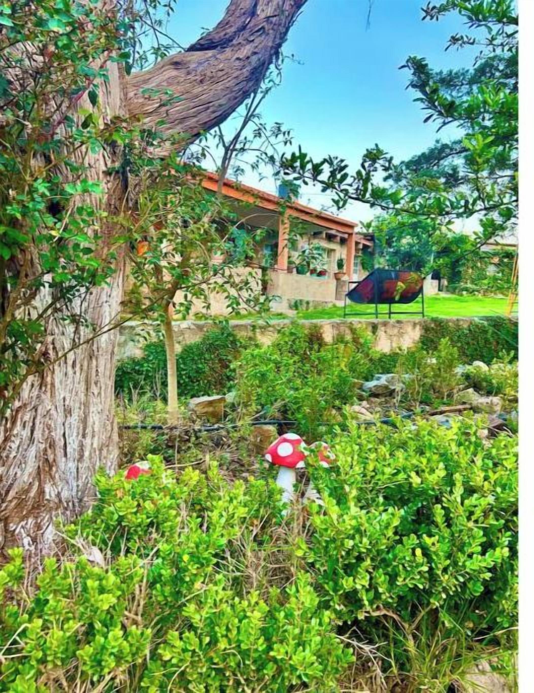 A garden with a large tree and red mushroom decorations.