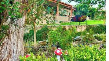 A garden with a large tree and red mushroom decorations.