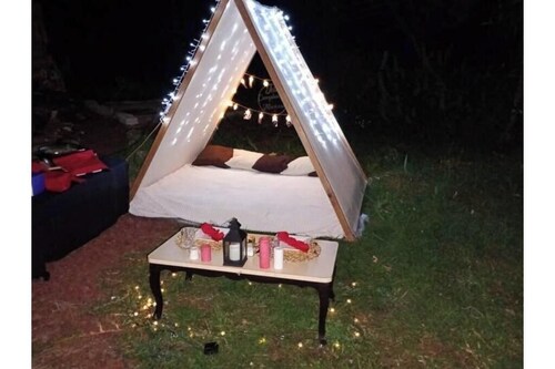 Cats Nature Shelter by GEstores