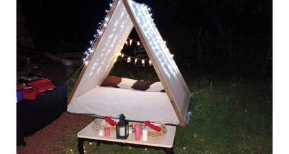 Cats Nature Shelter by GEstores