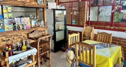 Cats Nature Shelter by GEstores