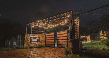 Refuge of Stars and Roots By Gestor C4