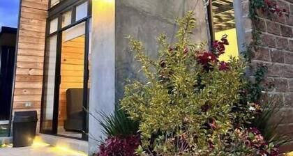 Refuge of Stars and Roots By Gestor C4