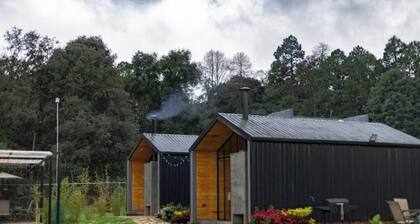 Jacaranda Whisper By Managers B1