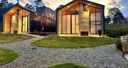 Jacaranda Whisper By Managers B1