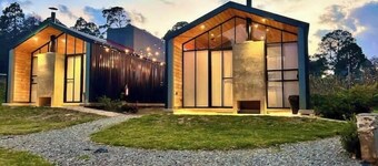 Jacaranda Whisper By Managers B1