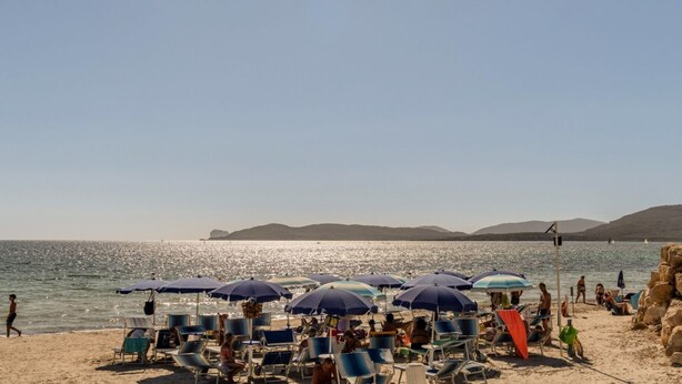 A beach with sun loungers and umbrellas, a sandy shore, and a calm sea.
