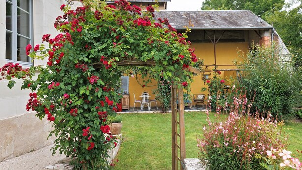 A garden with a wooden arbor covered in red flowers, a yellow building, and a grassy lawn. - Apartment 'La Tourelle Des Cordeliers' with Private Terrace, Shared Garden and Wi-Fi (Loches)