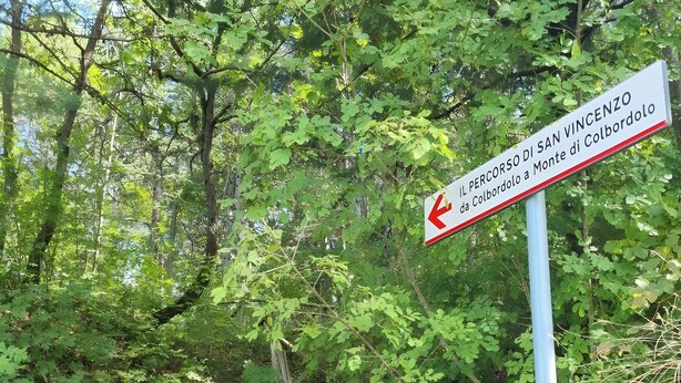 Uklassifisert bilde, 1 av 14, knapp