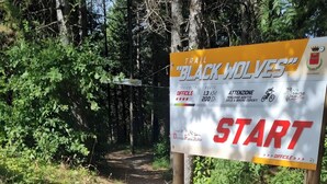 Uklassifisert bilde, 5 av 14, knapp