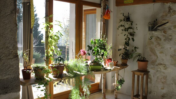 Une pièce dotée de grandes fenêtres, d’une table en bois ornée de plantes en pot et d’un mur en pierre.