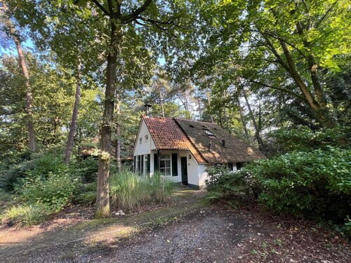 HESTIA - UNWIND IN NATURE