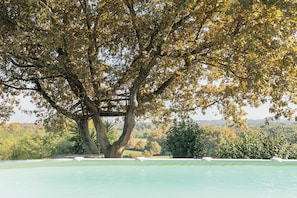 Ein Pool mit Blick auf einen großen Baum und umliegendes Grün.