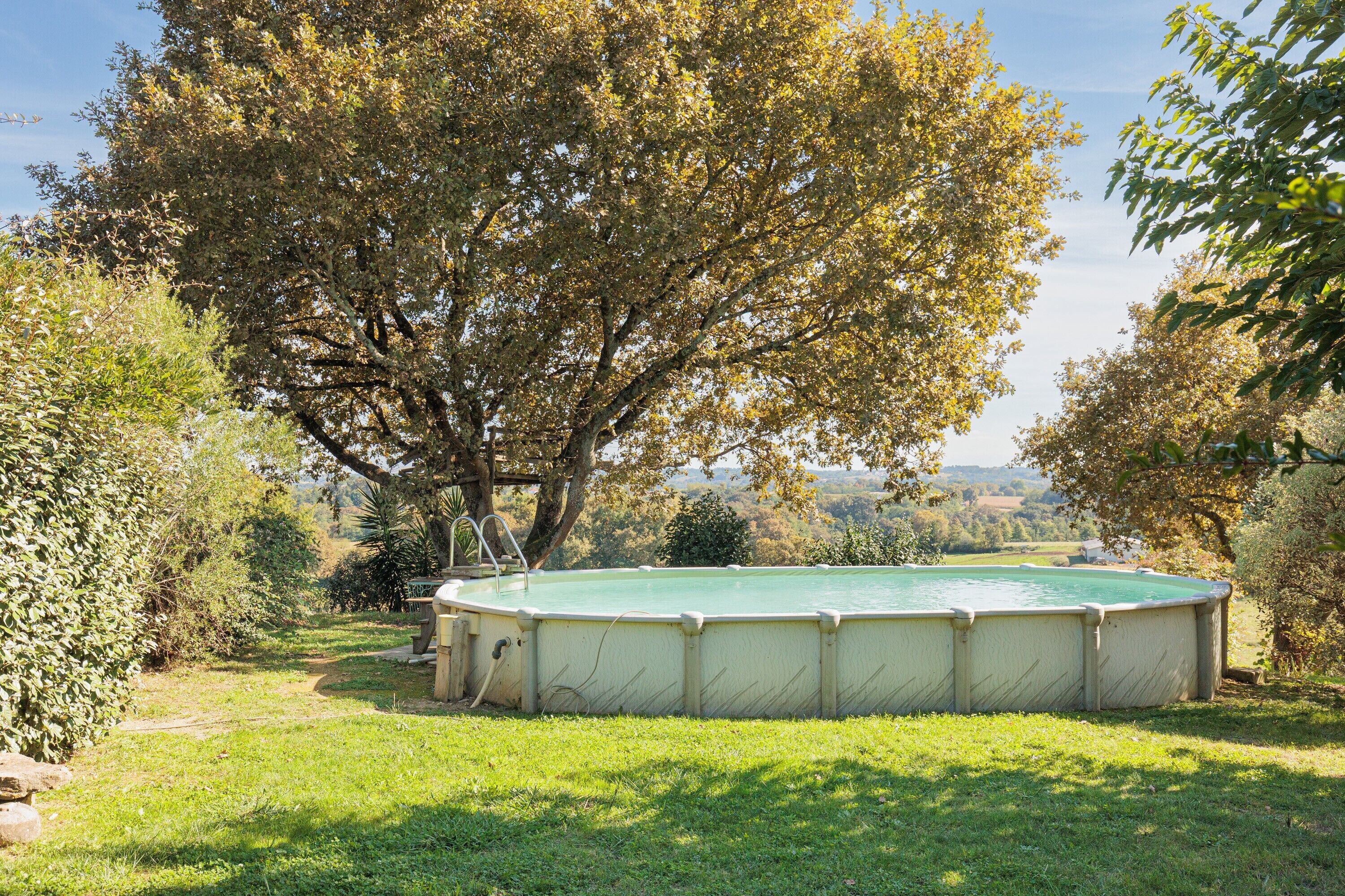 Ein rechteckiger Pool, umgeben von Gras und Bäumen.