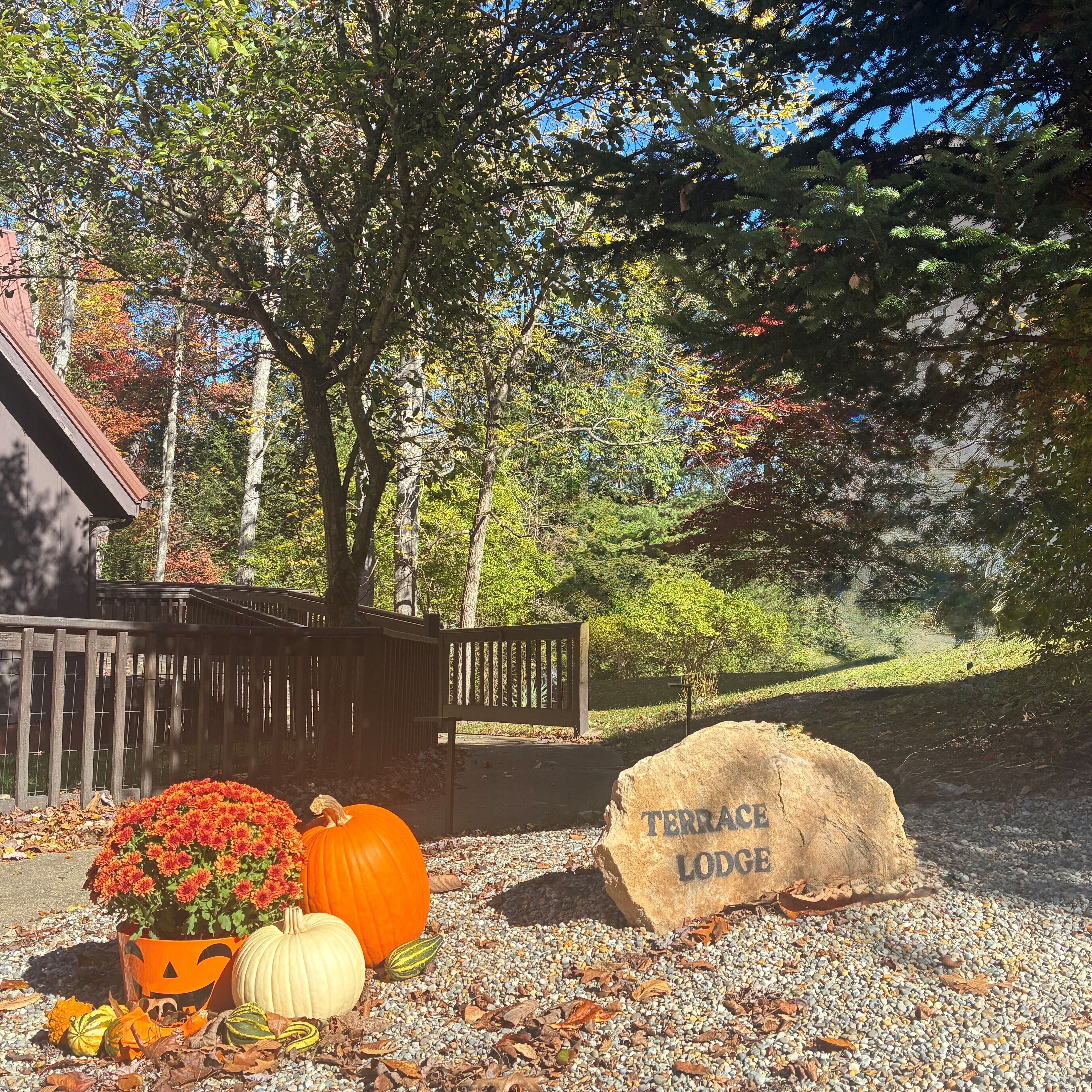 المنطقة المحيطة بالمنشأة