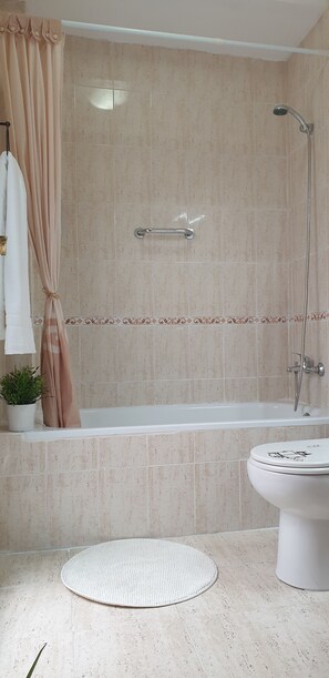 Un bagno con vasca, doccia, WC e una pianta in vaso.