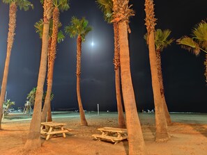 Een strand met palmbomen en picknicktafels onder een nachthemel met een zichtbare maan.