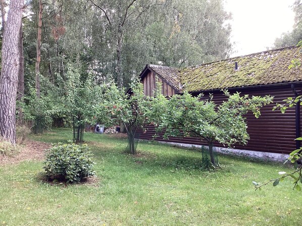 House | Exterior