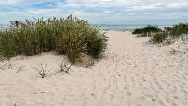 A sandy beach path with tall grass on either side, leading to the sea. - 4 Person Holiday Home in Smedstorp (Tomelilla)