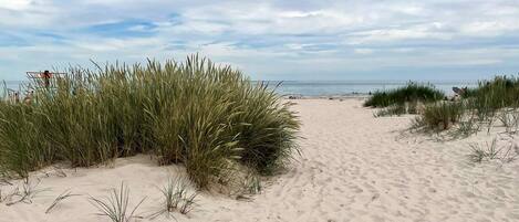 單棟房屋 | 海灘