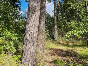 独立别墅 | 外观