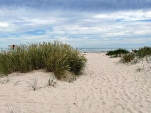 A sandy beach path with tall grass on either side, leading to the ocean. - 4 Person Holiday Home in Smedstorp (Tomelilla)