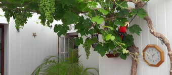 Guest Room Heraudeau 2 - with shared garden and air conditioning