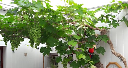 Guest Room Heraudeau 1 - with Shared Garden and Air Conditioning