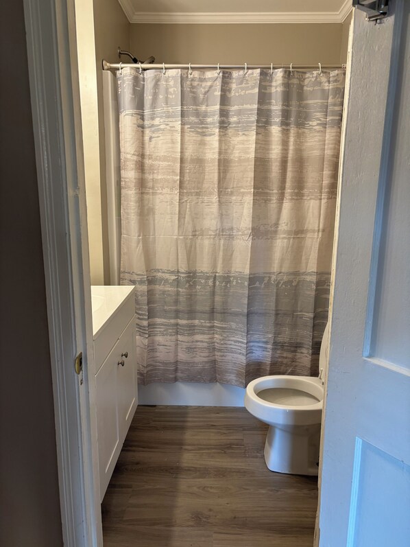 Un baño con cortina de ducha, inodoro y un armario.
