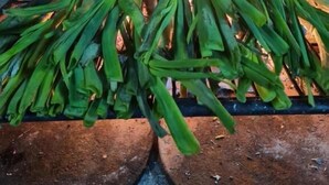 Una griglia con verdure verdi sopra una fiamma viva.