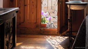Una porta in legno con un pannello in vetro satinato, un cancello in metallo e una pianta in vaso con fiori viola.
