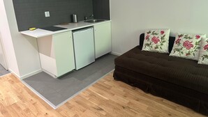 A compact kitchenette with a dishwasher, a sink, and a stove. There is a brown sofa with floral cushions and a grey rug.