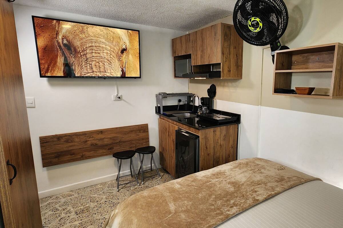 Une pièce de taille modeste comprenant un lit, un petit coin cuisine, un téléviseur fixé au mur et un ventilateur de plafond.