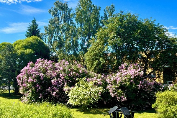 Apartment, 1 Bedroom, Hot Tub, Garden View | Garden