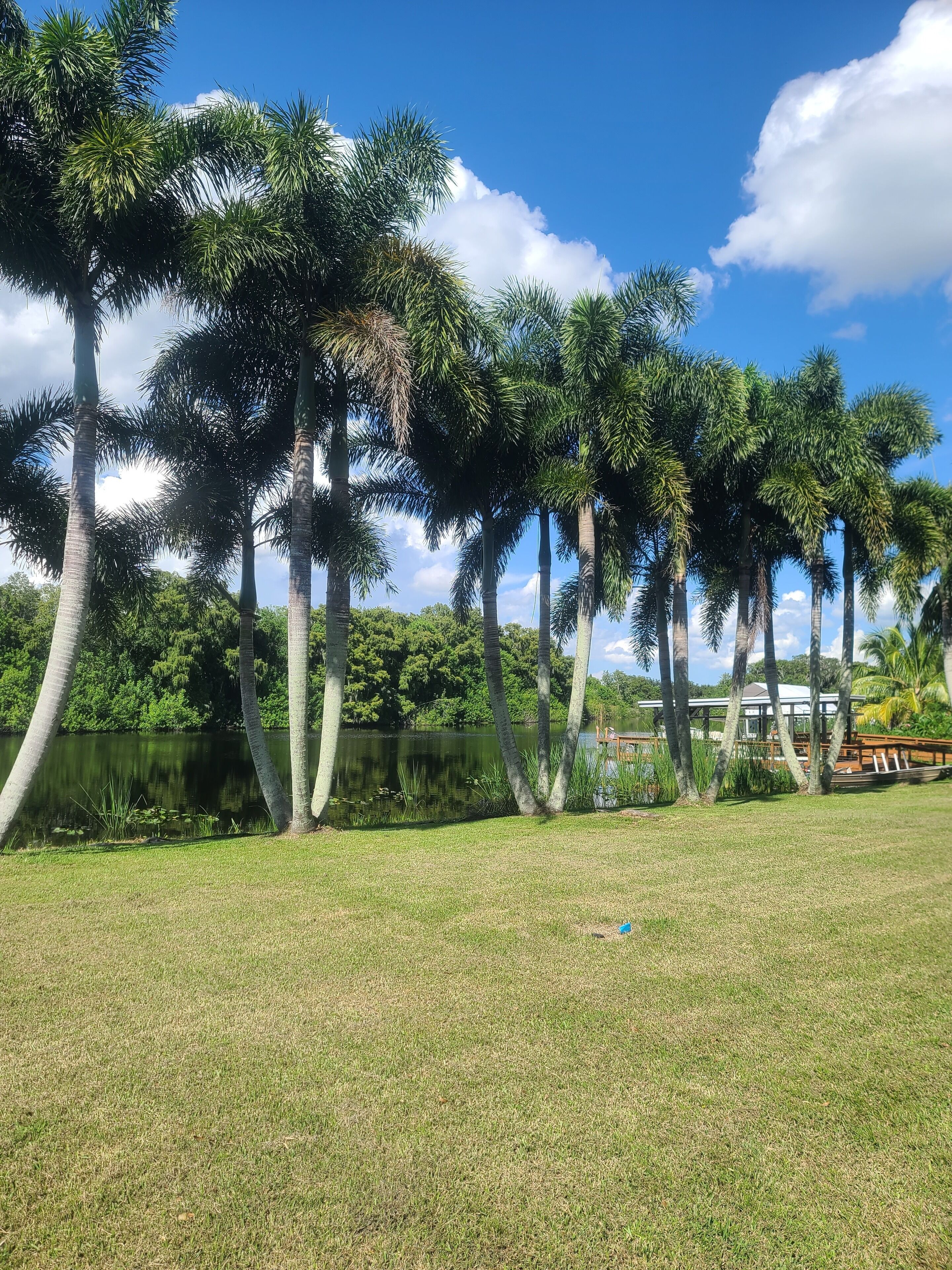 Overnatningsstedets område