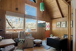 Smart TV, fireplace, books