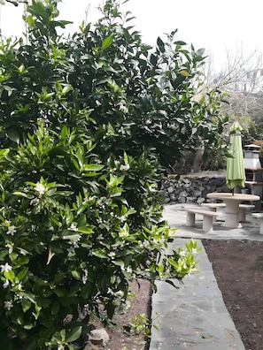 المنطقة المحيطة بالمنشأة