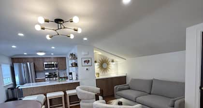 Williamsville Village Mid-Century Modern Bungalow 2-bedroom house New Remodeled